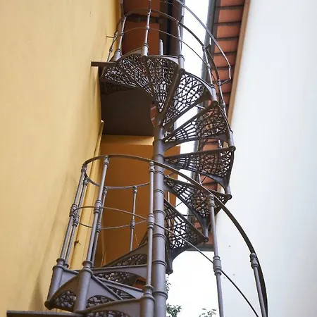 Nest Florence