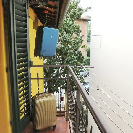 Nest Apartment